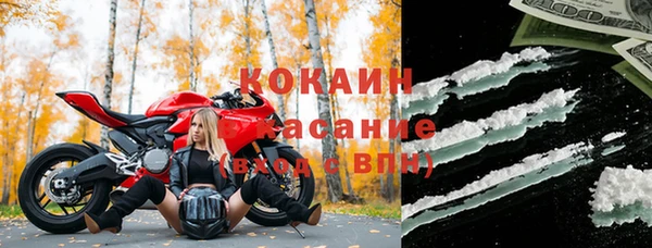 Альфа ПВП Бородино