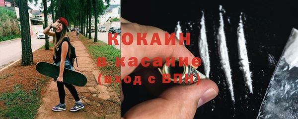 Альфа ПВП Бородино
