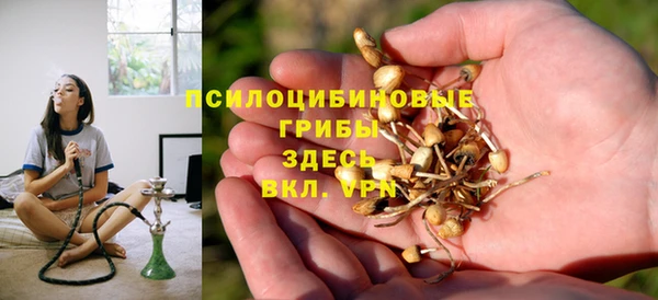 Альфа ПВП Бородино