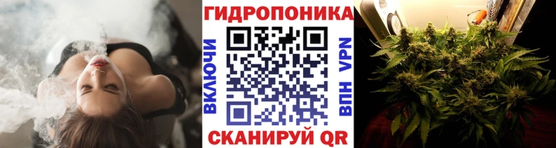 Бошки марихуана индика купить наркотики цена Миньяр